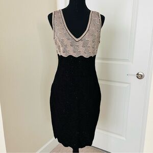 St. John Knit V-Neck Sequin Tank Dress